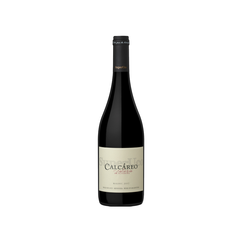 Calcáreo Coluvio Malbec