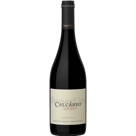 Calcáreo Coluvio Malbec